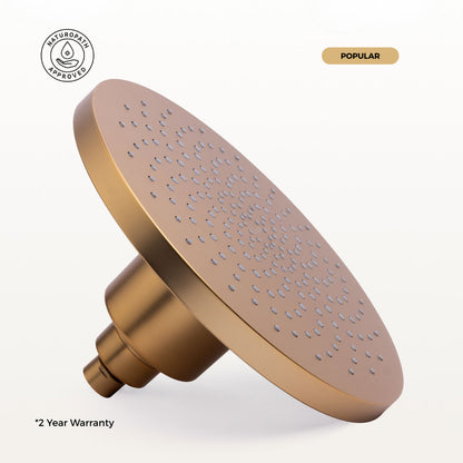 Filtered-Shower-Head-Brushed-Brass