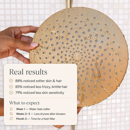 Brushed Brass Shower Filter