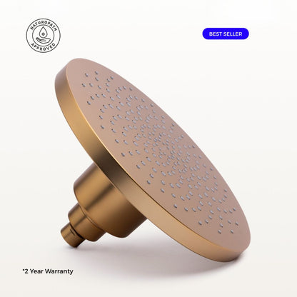 Filtered Showerhead Gold