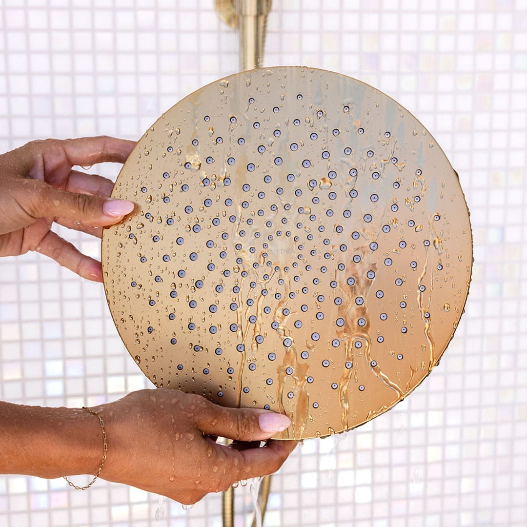 Filtered Shower Head