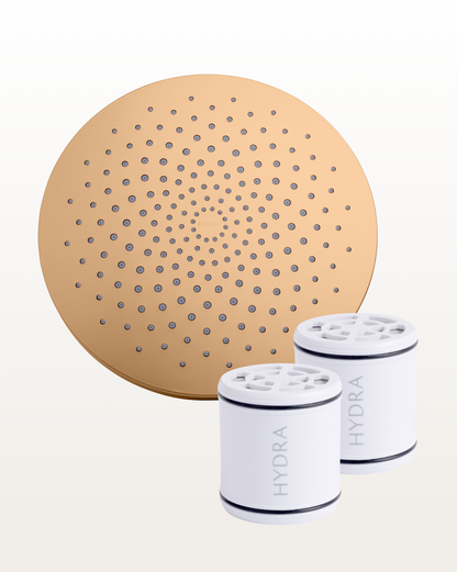 theritualbundle-gold_showerhead